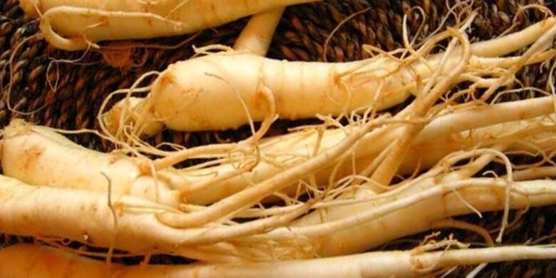 ginseng gamut aron sa pagdugang sa potency